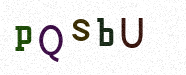 Visual Confirmation Security Code