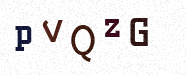 Visual Confirmation Security Code