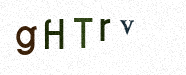 Visual Confirmation Security Code